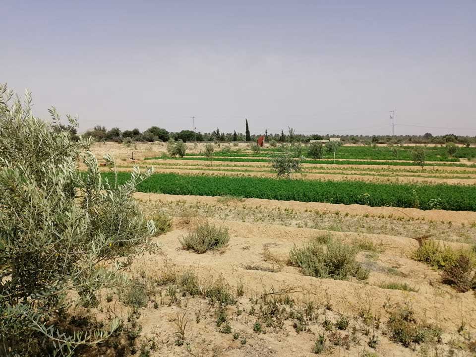 la ferme